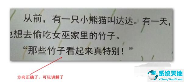 ppt播放器(ppt视频自动播放怎么设置)