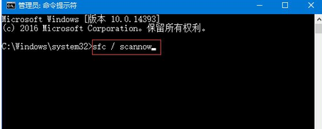 windows不显示文件名(win10不显示文件图标)