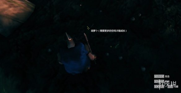 Valheim: 英灵神殿怎么种地-Valheim: 英灵神殿种地方法