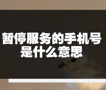 手机号码被暂停服务了怎么恢复（手机号码被暂停服务恢复教程）