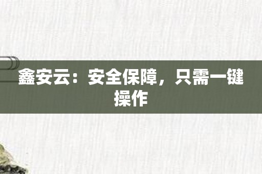 鑫安云：安全保障，只需一键操作