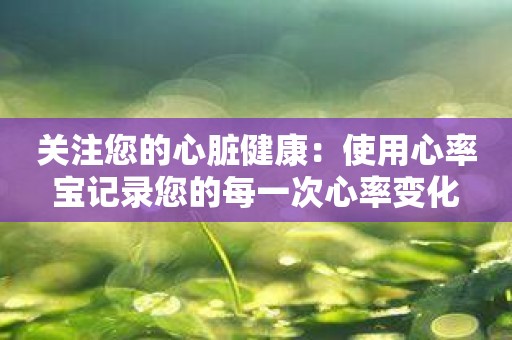 关注您的心脏健康：使用心率宝记录您的每一次心率变化