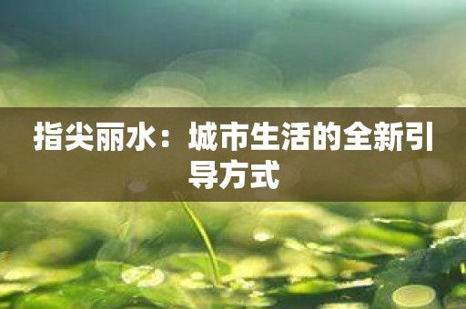 指尖丽水：城市生活的全新引导方式