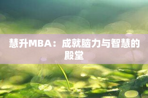 慧升MBA：成就脑力与智慧的殿堂