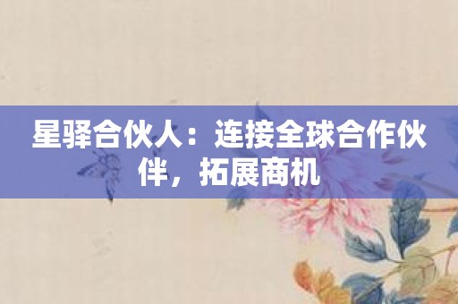 星驿合伙人：连接全球合作伙伴，拓展商机