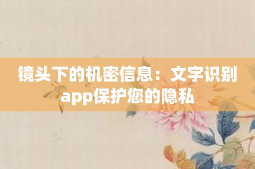 镜头下的机密信息：文字识别app保护您的隐私