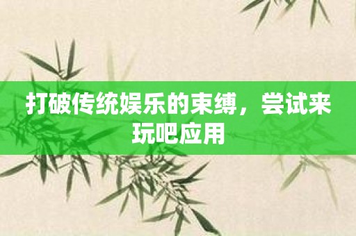 打破传统娱乐的束缚，尝试来玩吧应用