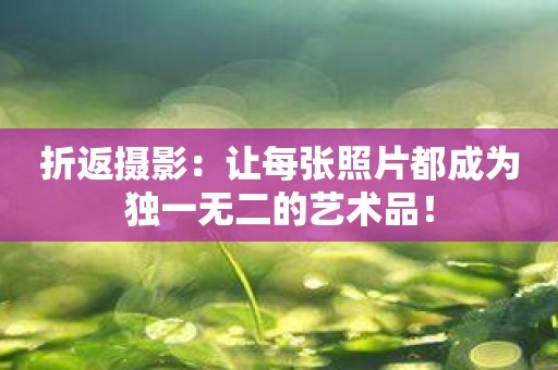 折返摄影：让每张照片都成为独一无二的艺术品！