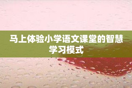 马上体验小学语文课堂的智慧学习模式