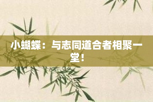 小蝴蝶：与志同道合者相聚一堂！