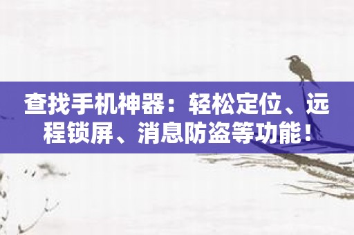 查找手机神器：轻松定位、远程锁屏、消息防盗等功能！