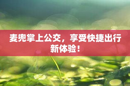 麦兜掌上公交，享受快捷出行新体验！