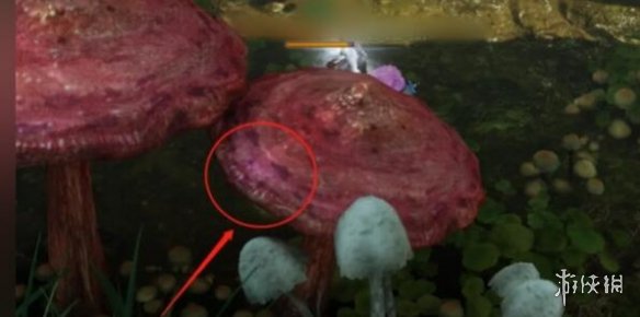 命运方舟巨型蘑菇岛摩可可位置在哪-巨型蘑菇岛摩可可位置攻略