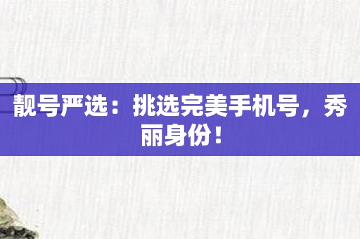 靓号严选：挑选完美手机号，秀丽身份！