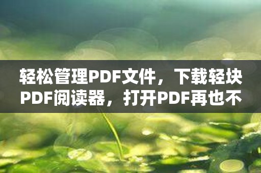 轻松管理PDF文件，下载轻块PDF阅读器，打开PDF再也不是问题！