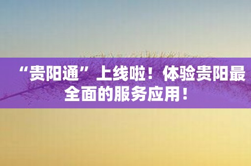 “贵阳通”上线啦！体验贵阳最全面的服务应用！