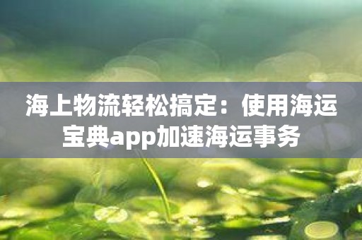 海上物流轻松搞定：使用海运宝典app加速海运事务