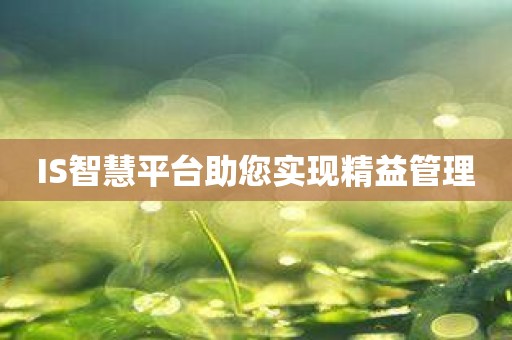 IS智慧平台助您实现精益管理