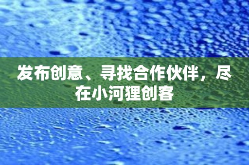 发布创意、寻找合作伙伴，尽在小河狸创客