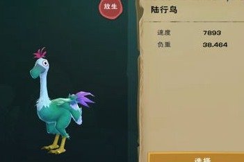 創(chuàng)造與魔法陸行鳥怎么抓