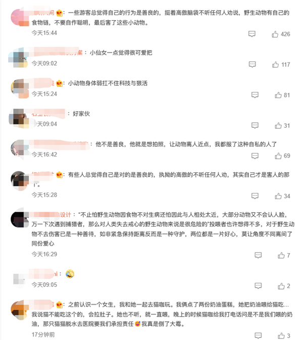 游客为拍照不听劝阻喂狐狸吃面包 无视劝阻！会危害动物