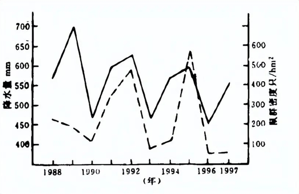 一亩地几百个洞：青藏高原的鼠害为何如此严重？