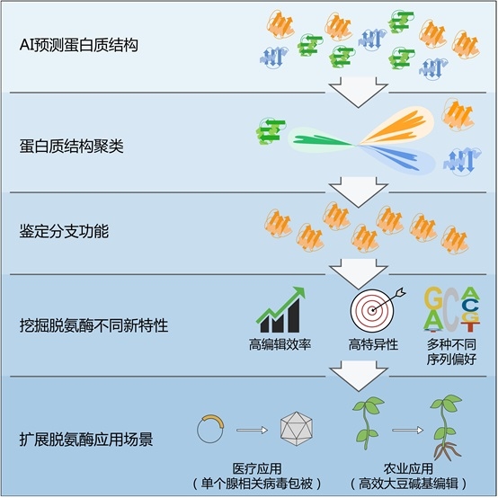 打破国外底层专利垄断 我国自主产权的精准基因编辑技术问世