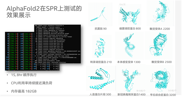 预测超长蛋白质这事 CPU赢了