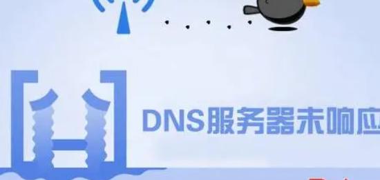 dns网络服务器未响应是什么原因?一篇文章，带你了解是什么原因