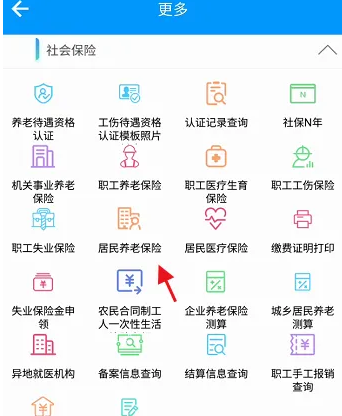 青海人社通怎么查养老保险