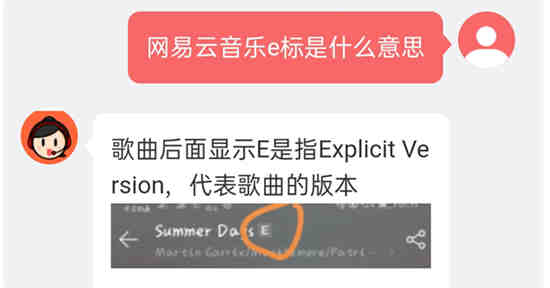 网易云音乐e标的意思是什么