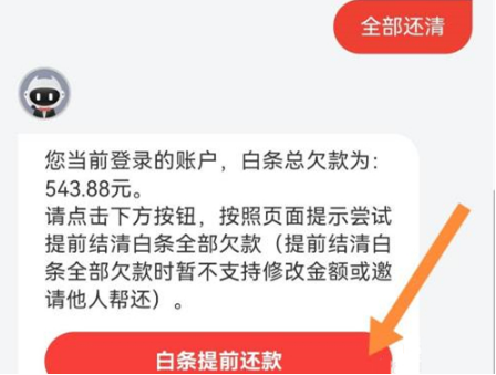 怎样还京东白条上的欠款