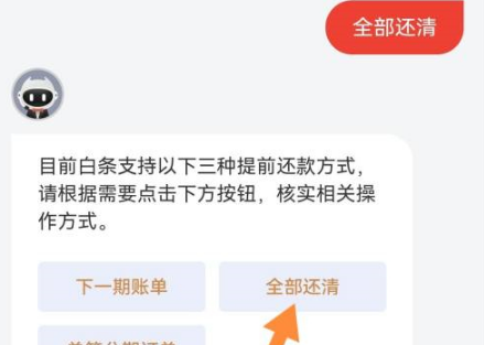 怎样还京东白条上的欠款