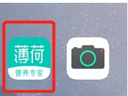 薄荷app怎么看体脂率(薄荷外刊app)