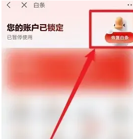 京东白条支付交易受限怎么解除