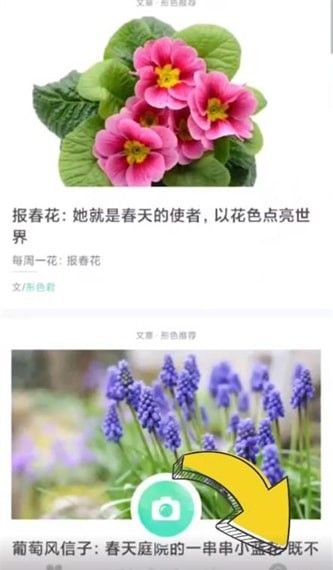 形色怎么删照片(形形色的人450字的作文五年级)