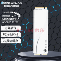 读速 12GB/s，影驰 2TB PCIe5.0 固态硬盘上架开售