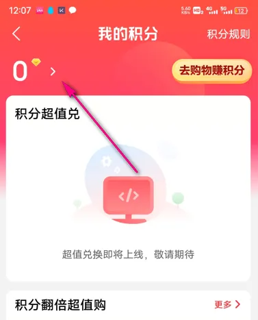 大润发优鲜会员积分哪里看