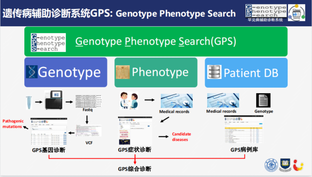 加速人工智能走深走实 昇腾 AI与上海的“不解之缘”