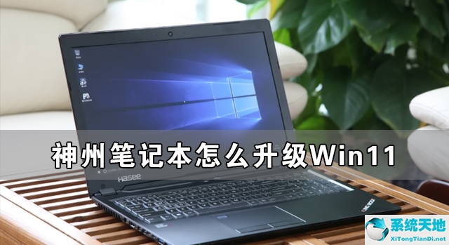 神舟笔记本安装系统win11教程(神舟笔记本怎么升级win11)