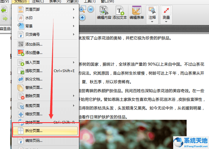 迅捷pdf转换器能不能拆分文档(迅捷pdf编辑器怎么把pdf转换成word)