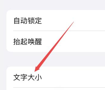 苹果手机怎么调节字体大小（苹果手机调节字体教程）