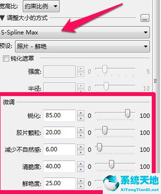 photozoom软件无损放大图片会失真吗(photozoom怎么把图片变清楚)