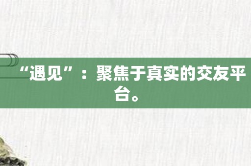 “遇见”：聚焦于真实的交友平台。