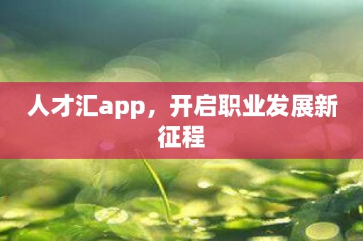 人才汇app，开启职业发展新征程