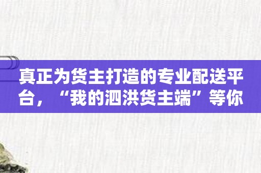 真正为货主打造的专业配送平台，“我的泗洪货主端”等你来体验！