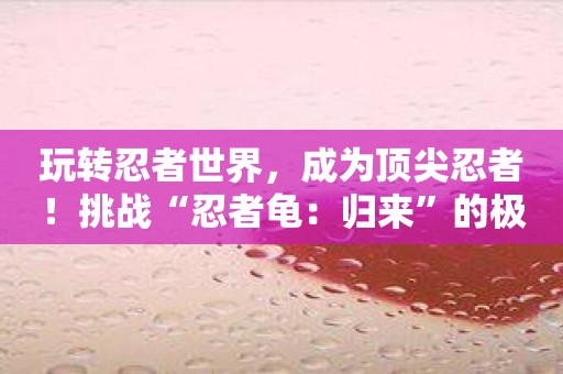 玩转忍者世界，成为顶尖忍者！挑战“忍者龟：归来”的极限！