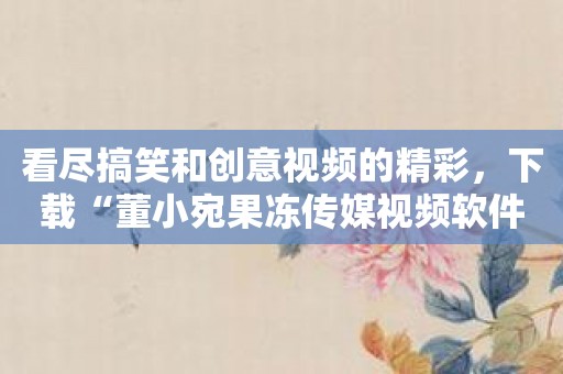 看尽搞笑和创意视频的精彩，下载“董小宛果冻传媒视频软件”！