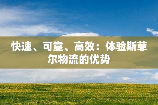 快速、可靠、高效：体验斯菲尔物流的优势