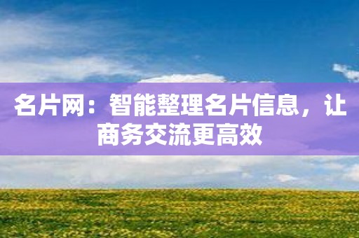 名片网：智能整理名片信息，让商务交流更高效